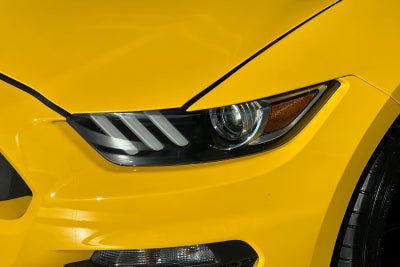 2017 Ford Mustang Shelby GT350